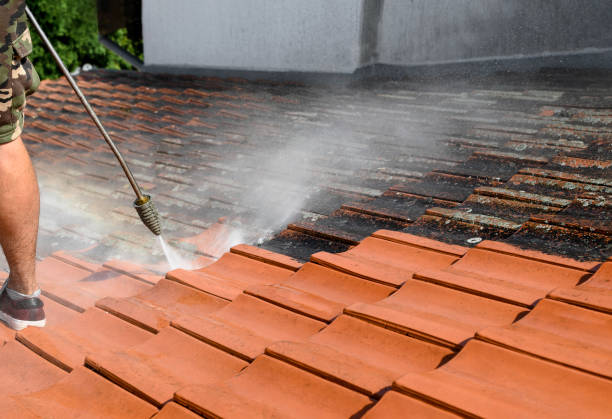 Best Pressure Washing Brick  in Los Lunas, NM